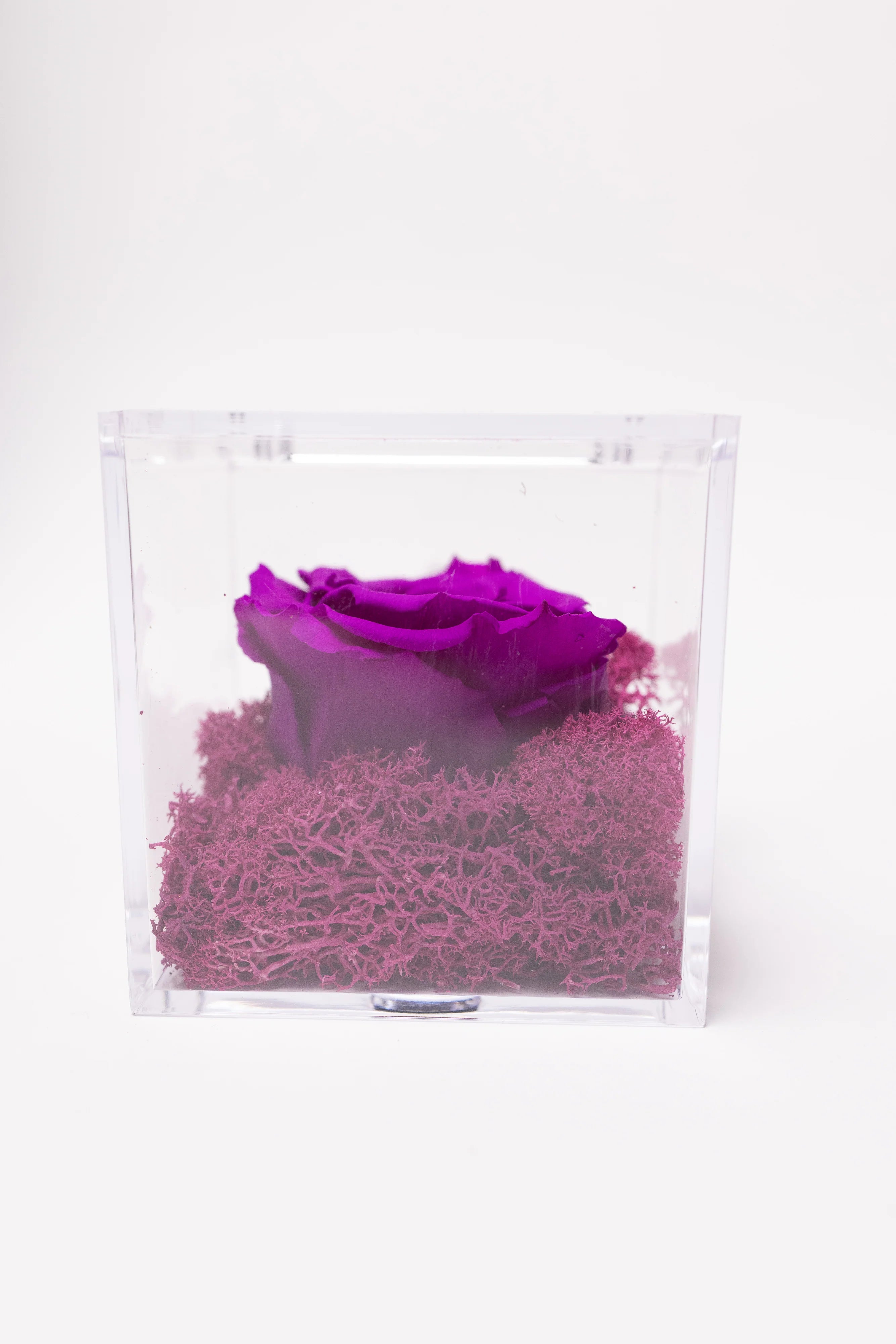 Aranjament de Lux cu Trandafir Criogenat